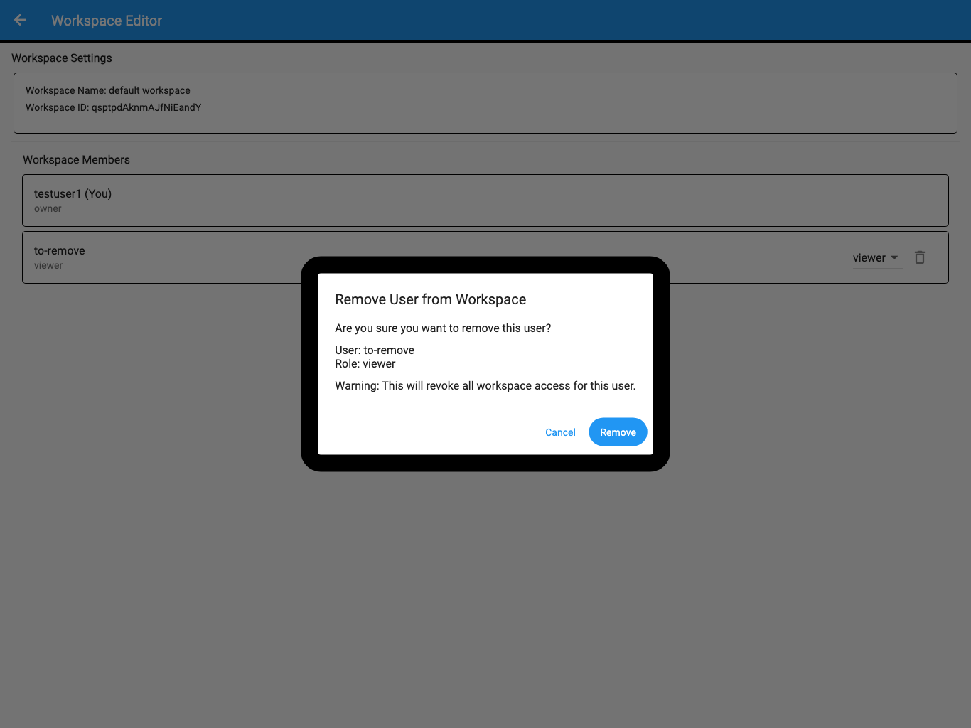 Remove User from Workspace confirmation showing the selected user and current role.